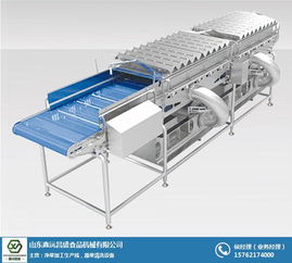 蔬菜清洗機(jī)械廠家 選擇鑫沅昌盛 南京蔬菜清洗機(jī)械