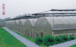 龍巖溫室大棚 科技賦能農(nóng)副產(chǎn)品，世界工廠(chǎng)網(wǎng)助力產(chǎn)業(yè)騰飛